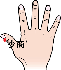 ツボ16：糖尿病